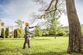 How Our Tree Care Process Works  in  Delavan Lake, WI